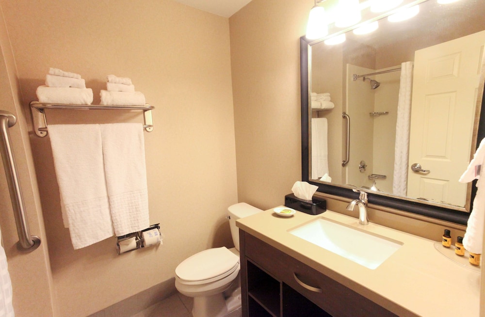 Best Western Plus Cotton Tree Inn 13/44