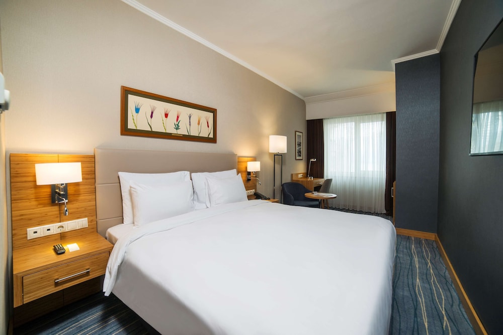 Radisson Hotel President Old Town Istanbul 11/50