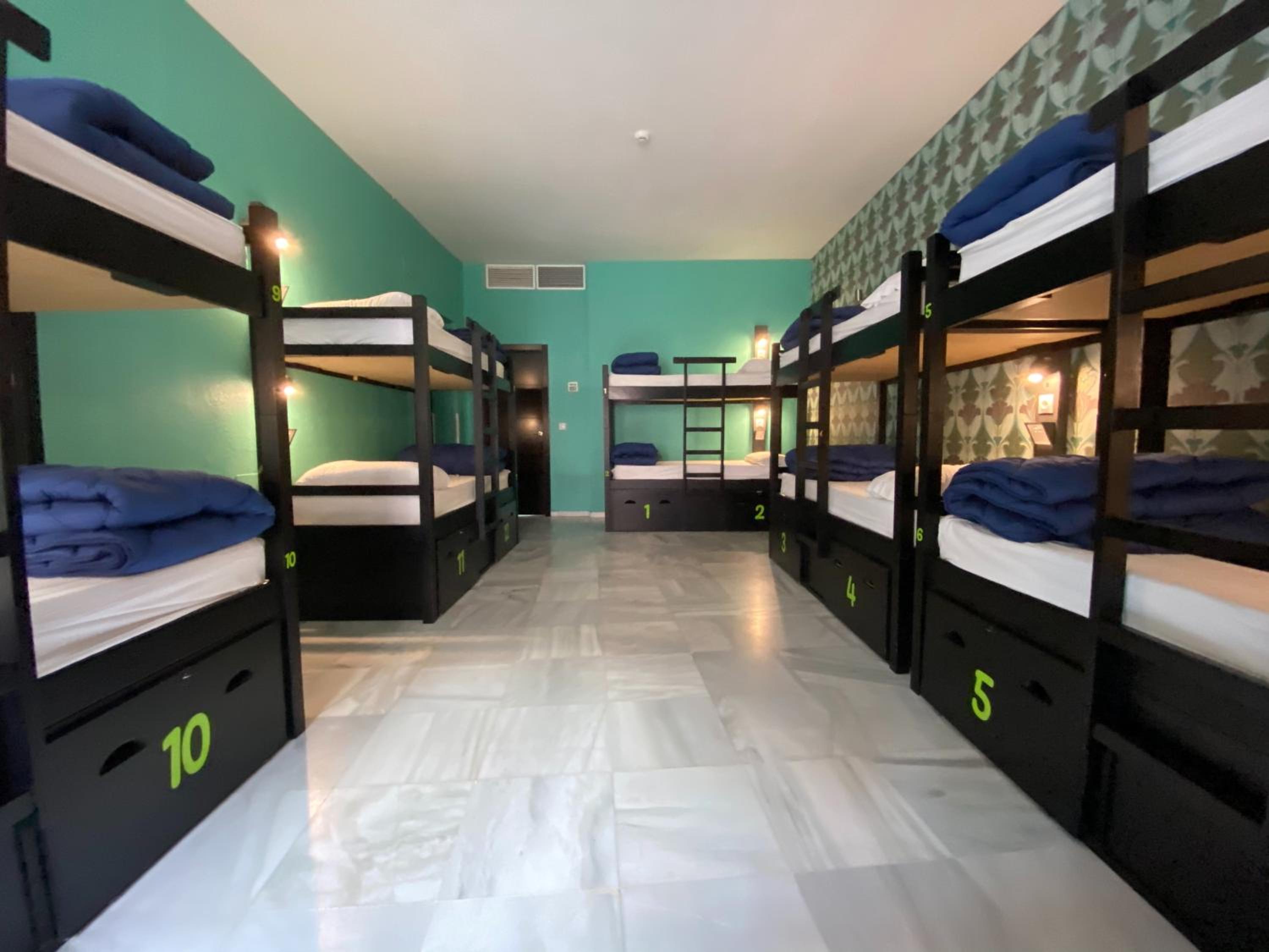 Mixed Dorm, 12 Beds