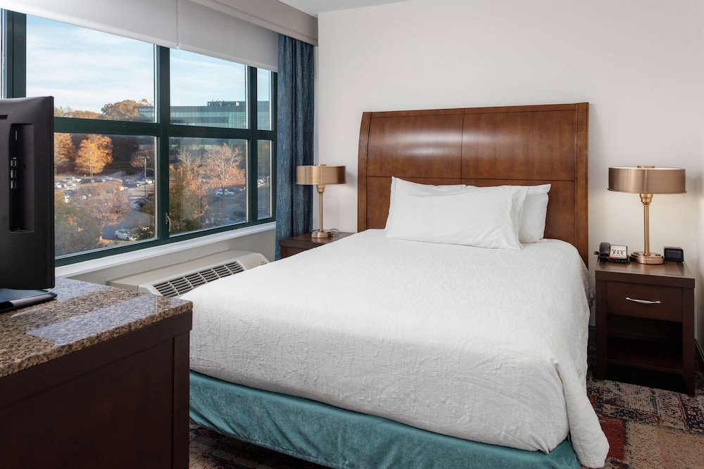 Hilton Garden Inn Atlanta Perimeter Center 13/64