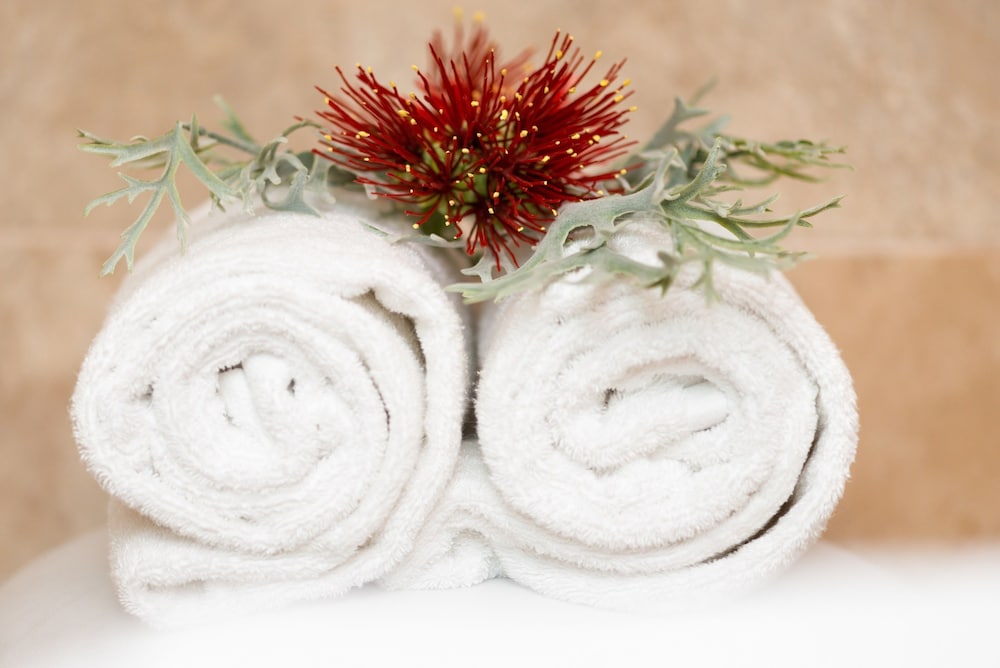 Paihia Beach Resort And Spa 21/50