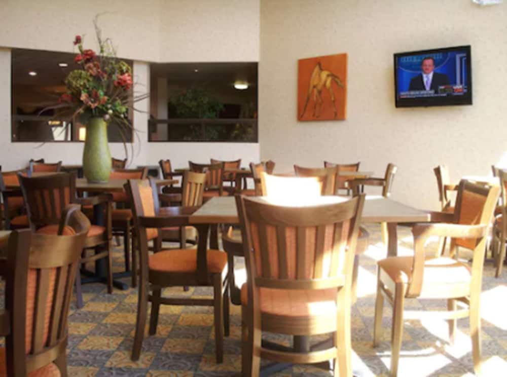 Holiday Inn Express Suites Oro Valley Tucson North Ex Wingate By Wyndham Tucson North Oro Valley 31/46