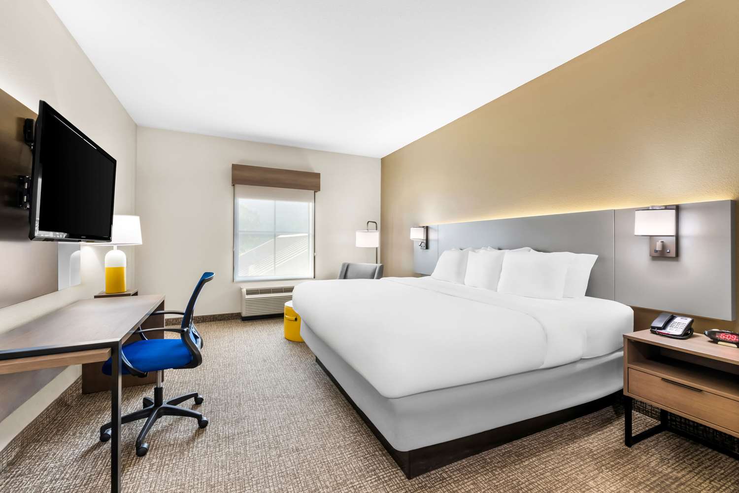 Room, King Bed