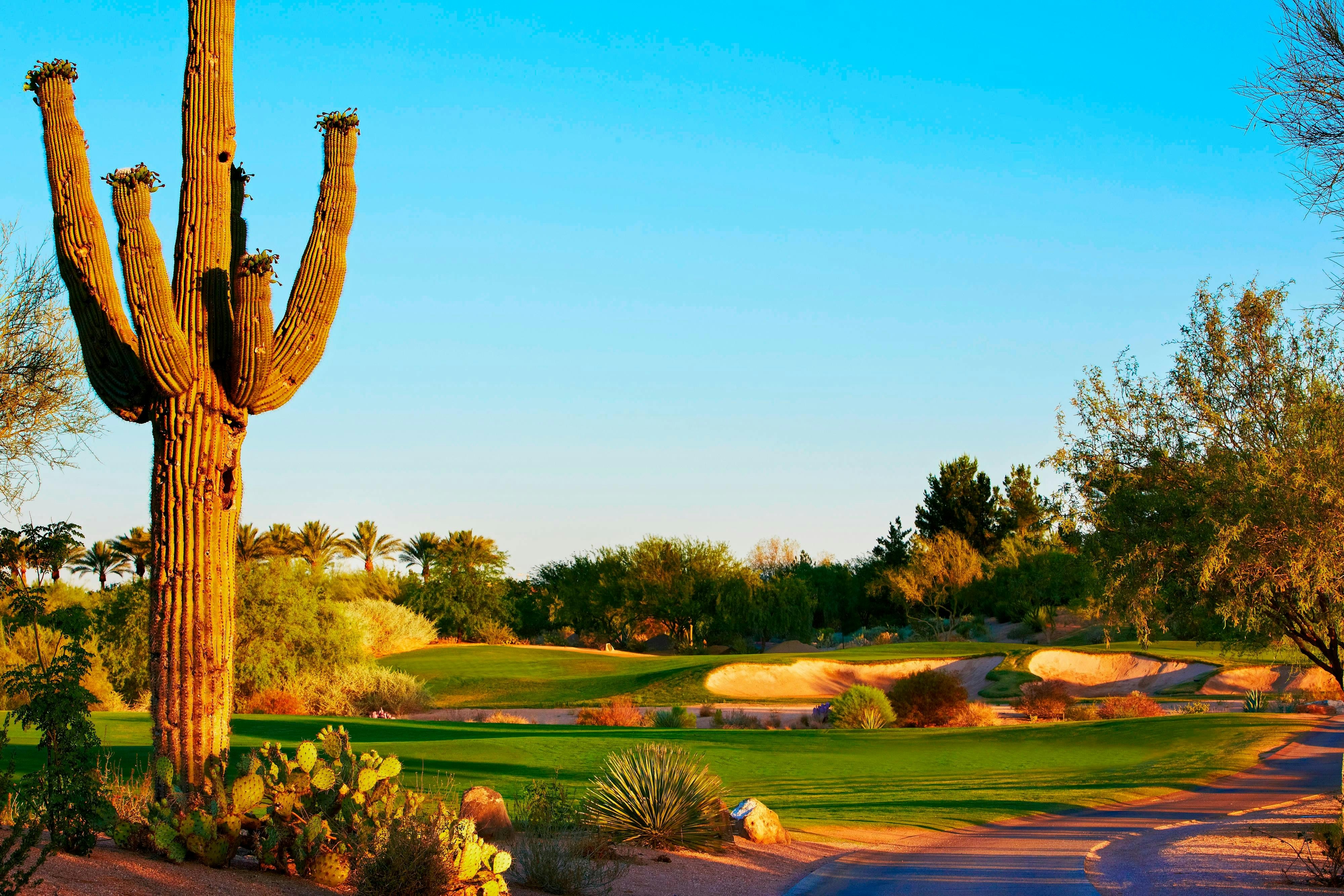 Jw Marriott Desert Ridge Resort And Spa Phoenix 39/48