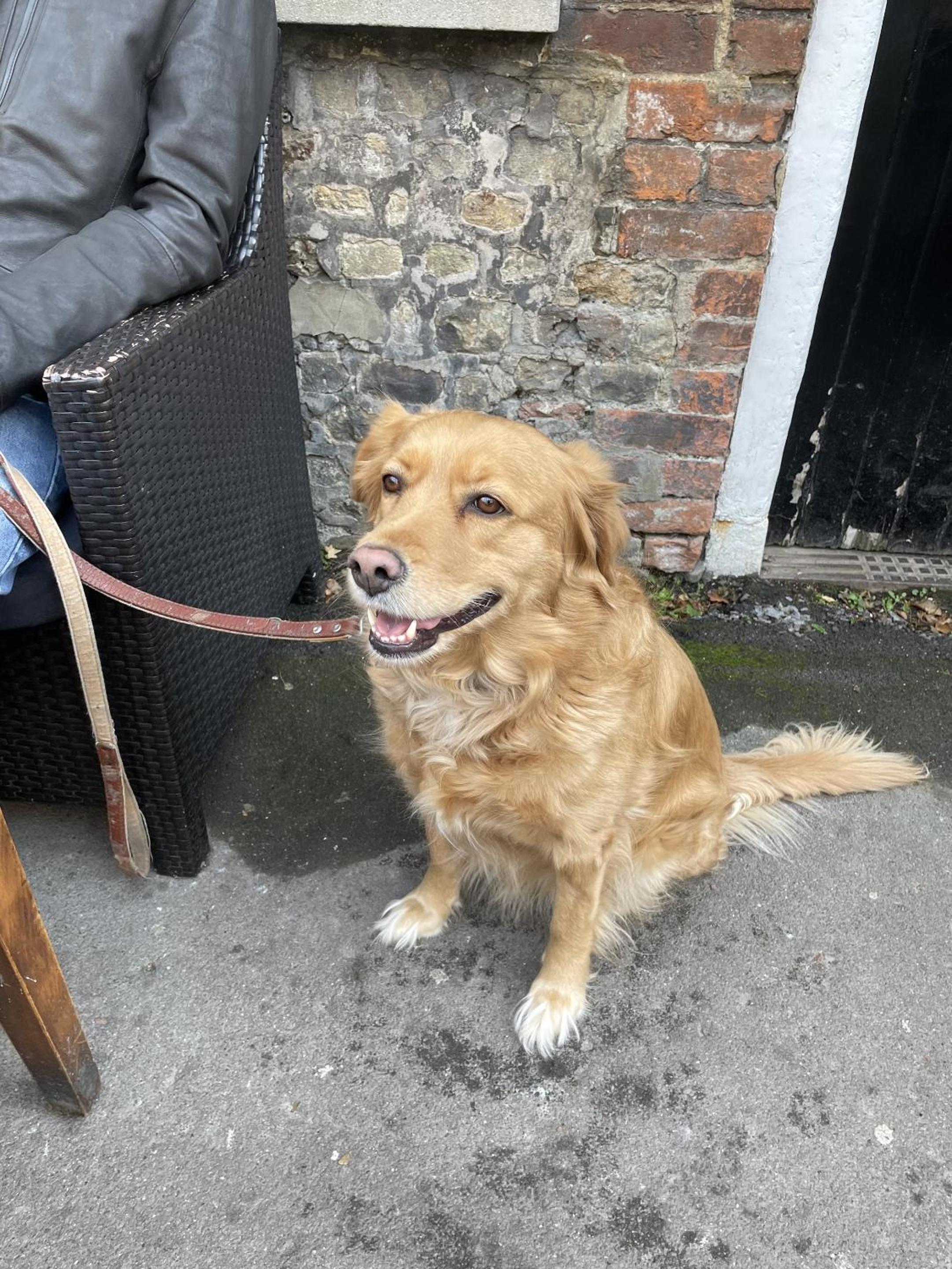 The Old Bell Inn 25/51