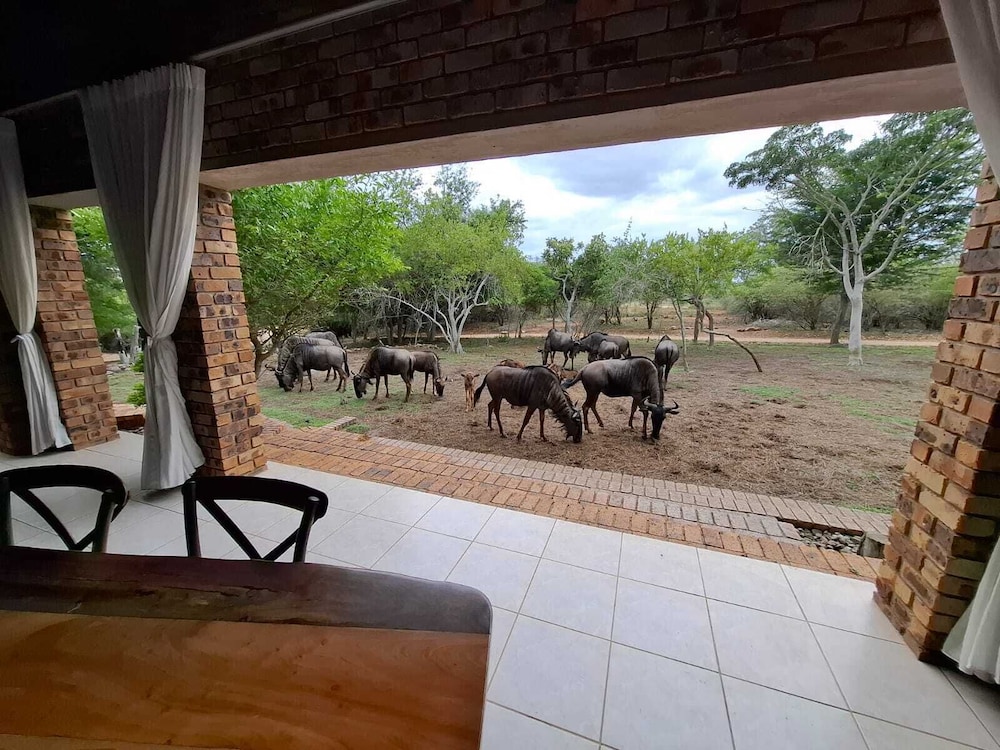 Kruger Riverside Lodge 17/50