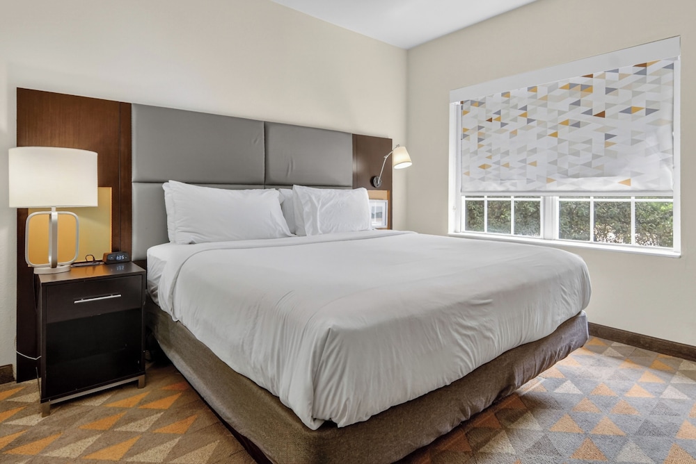 جناح بسرير كينج بغرفة نوم واحدة لذوي الإعاقة، Holiday Inn Express Hotel And Suites Dallas Addison 2/5