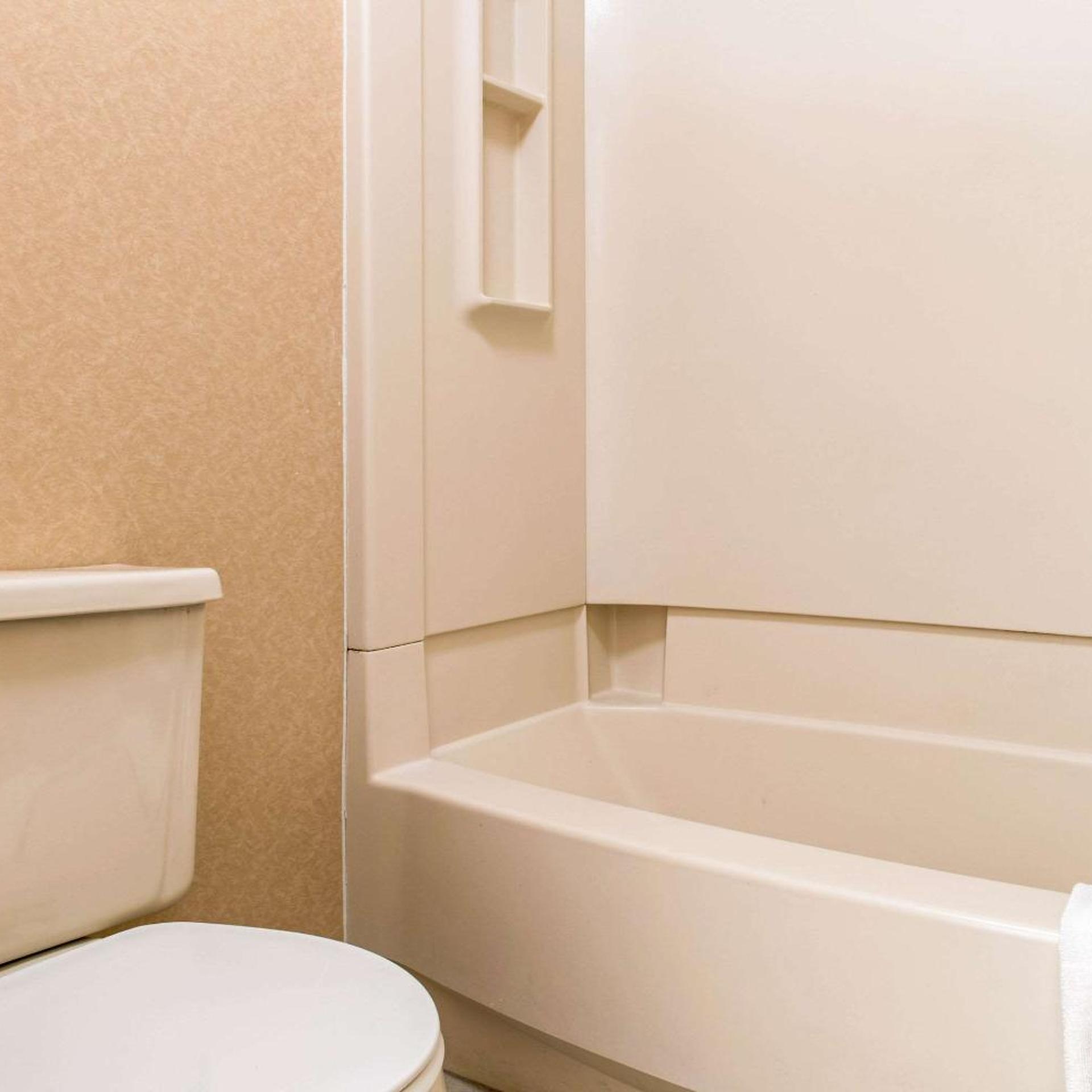 غرفة قياسية بسرير كينج للمدخنين، Econo Lodge Holland - Toledo 5/8