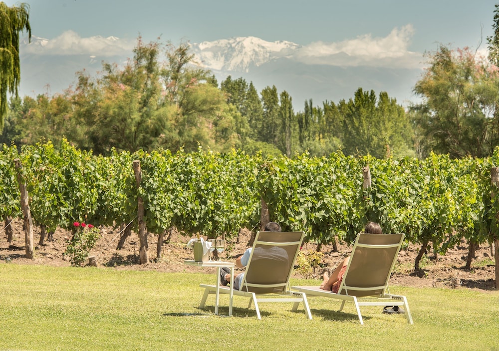 Postales Boutique WIne Hotels - Valle de Uco 26/50