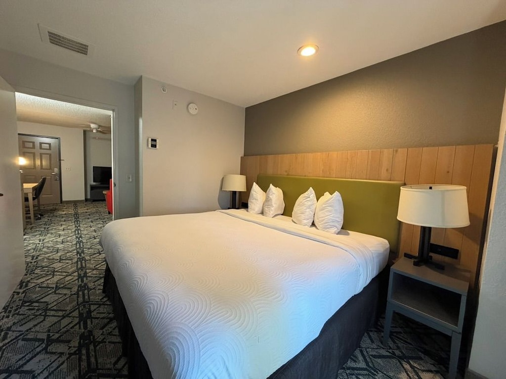 Studio, Suite, King Bed