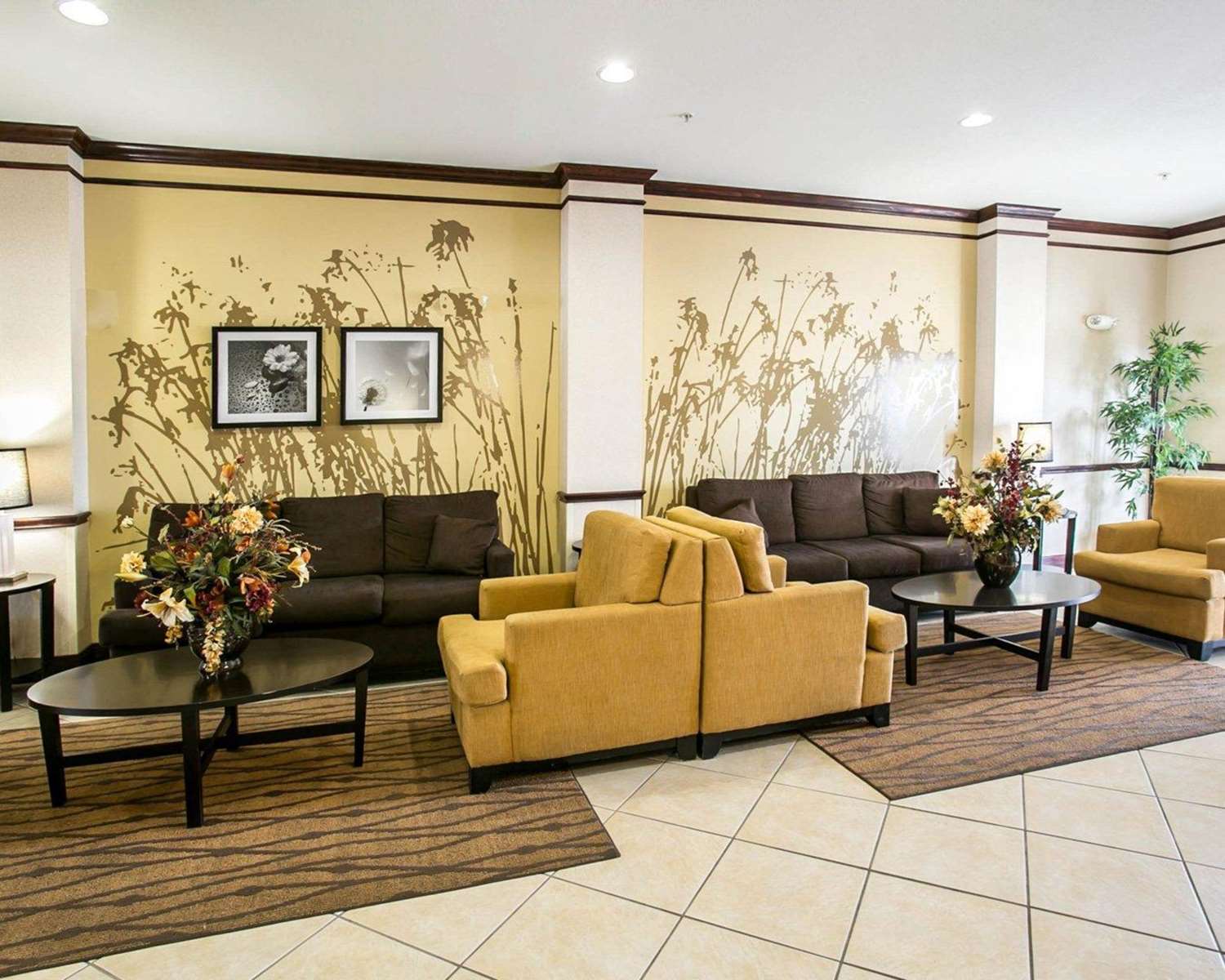 Sleep Inn & Suites New Braunfels TX 26/47