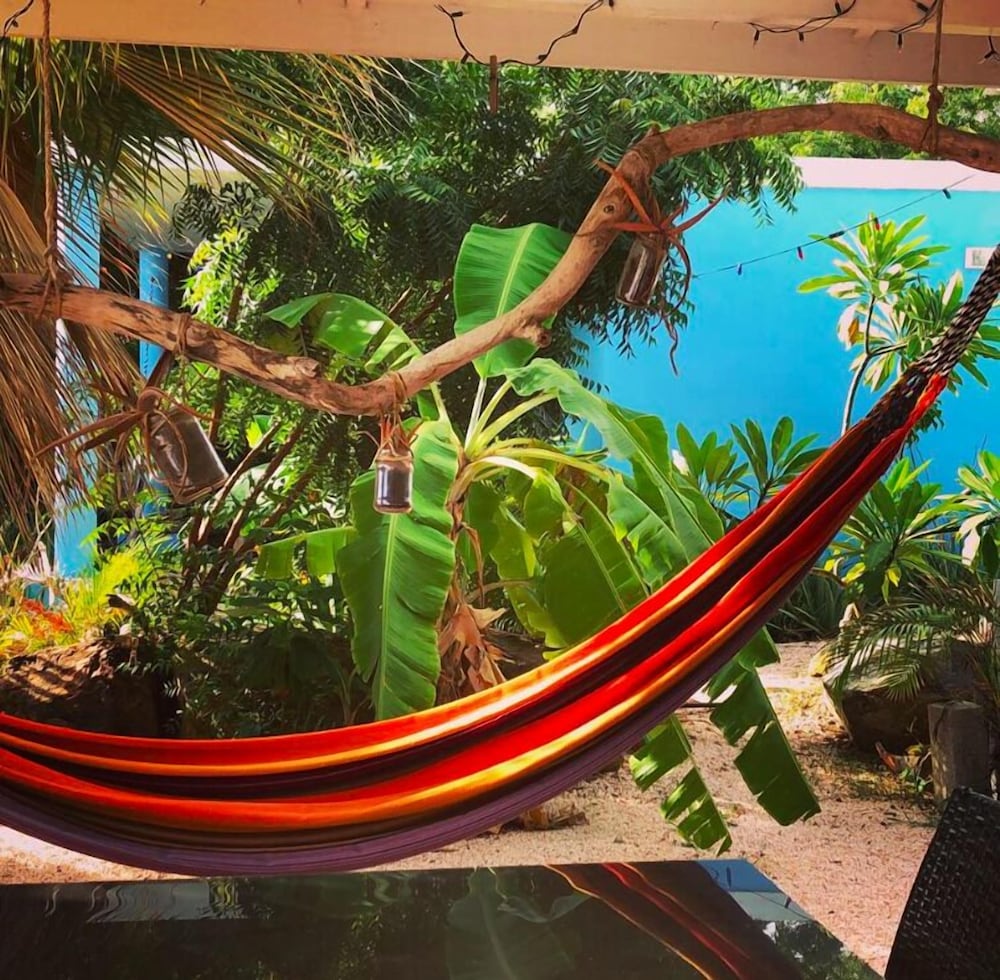 Tropical Breeze Apartments 27/49