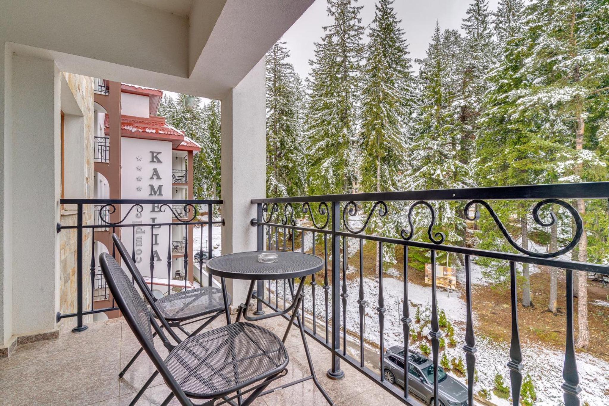 Kamellia Hotel Pamporovo 25/50