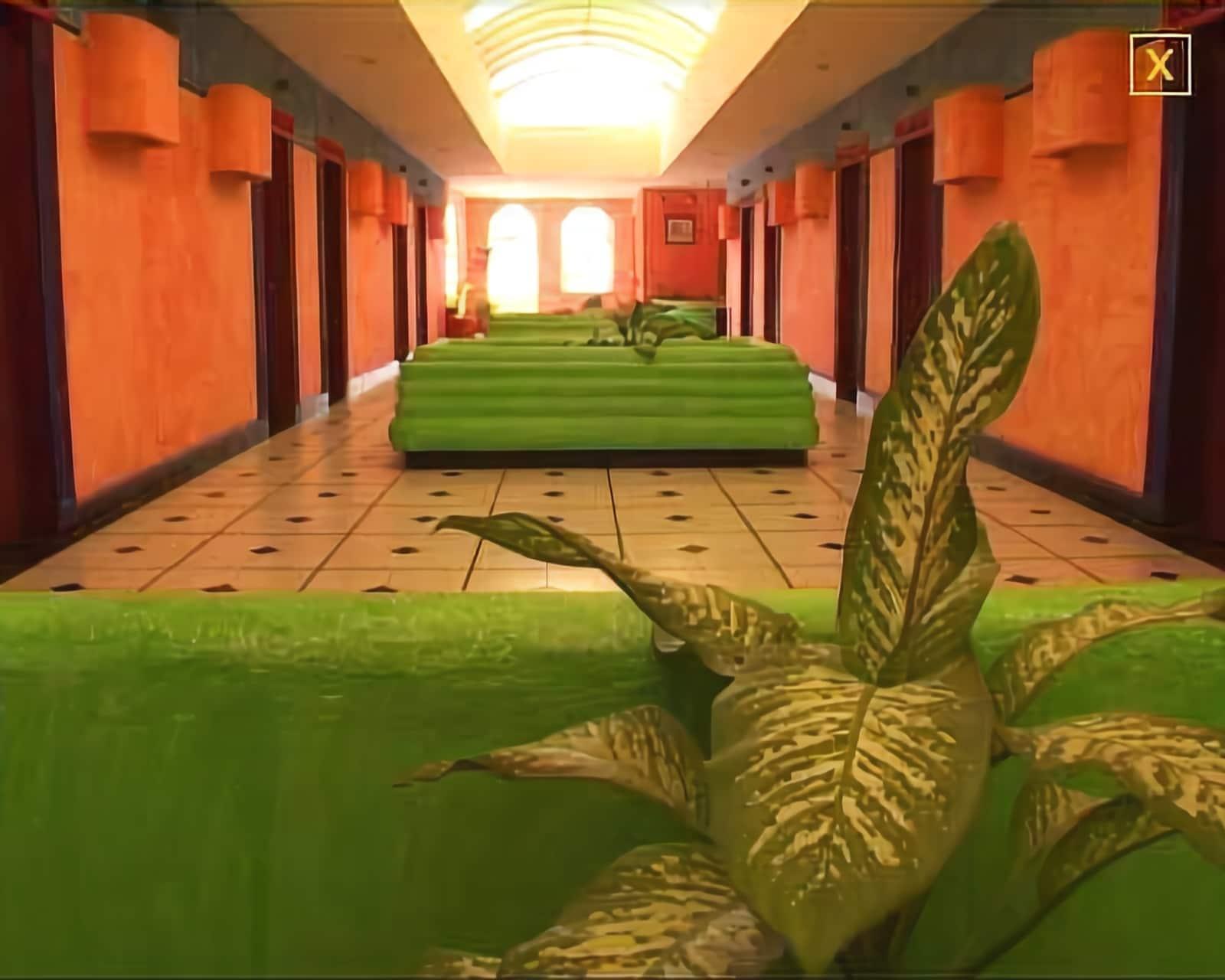Hotel Cancun Handall 17/17