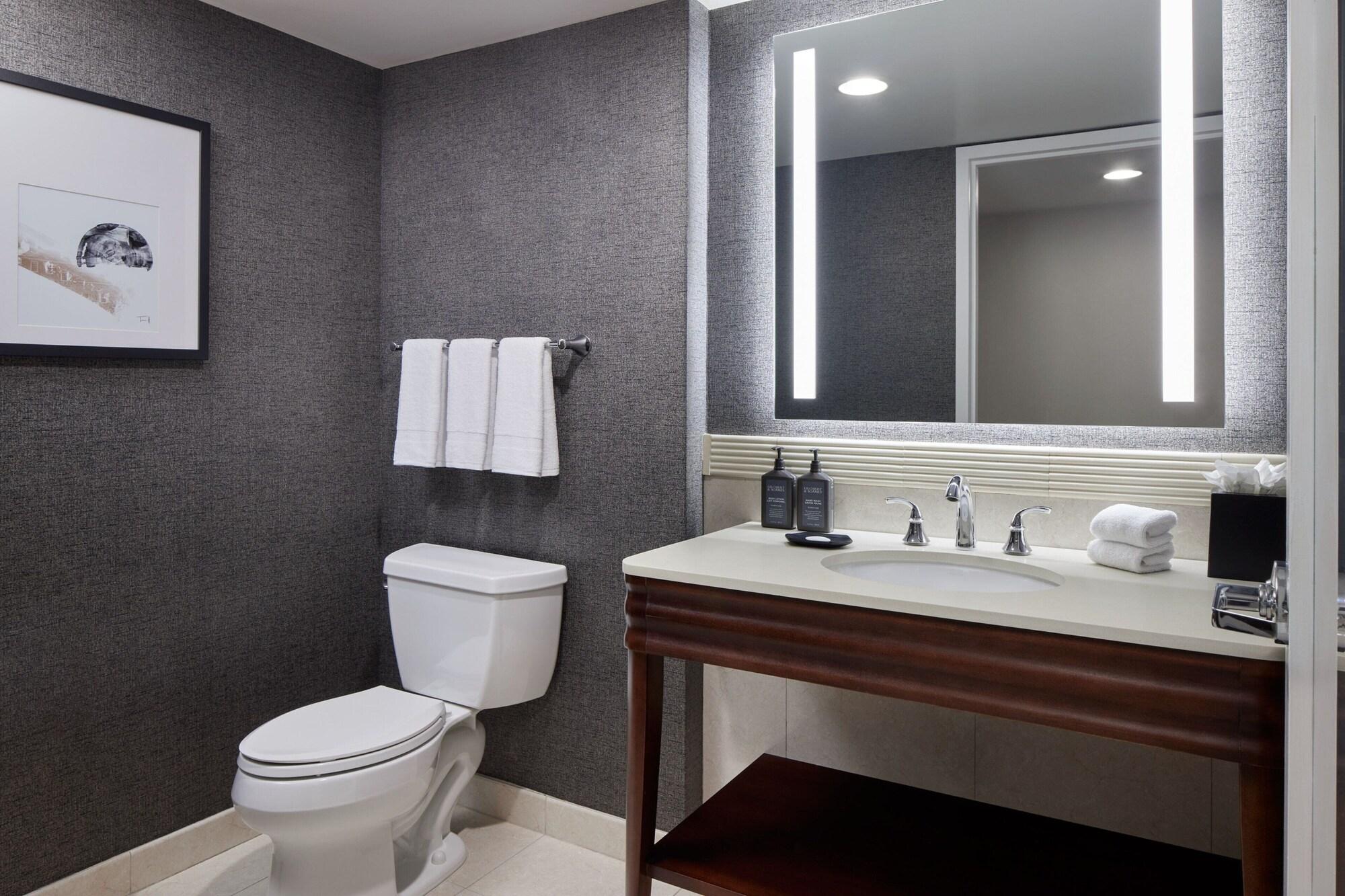 جناح كلوب بغرفة نوم واحدة، Sheraton Valley Forge King of Prussia 2/3