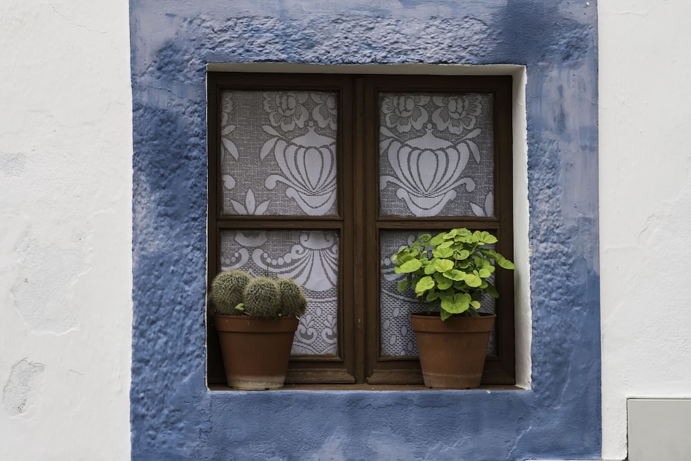 Casas de Romaria of Brotas Mora 15/33