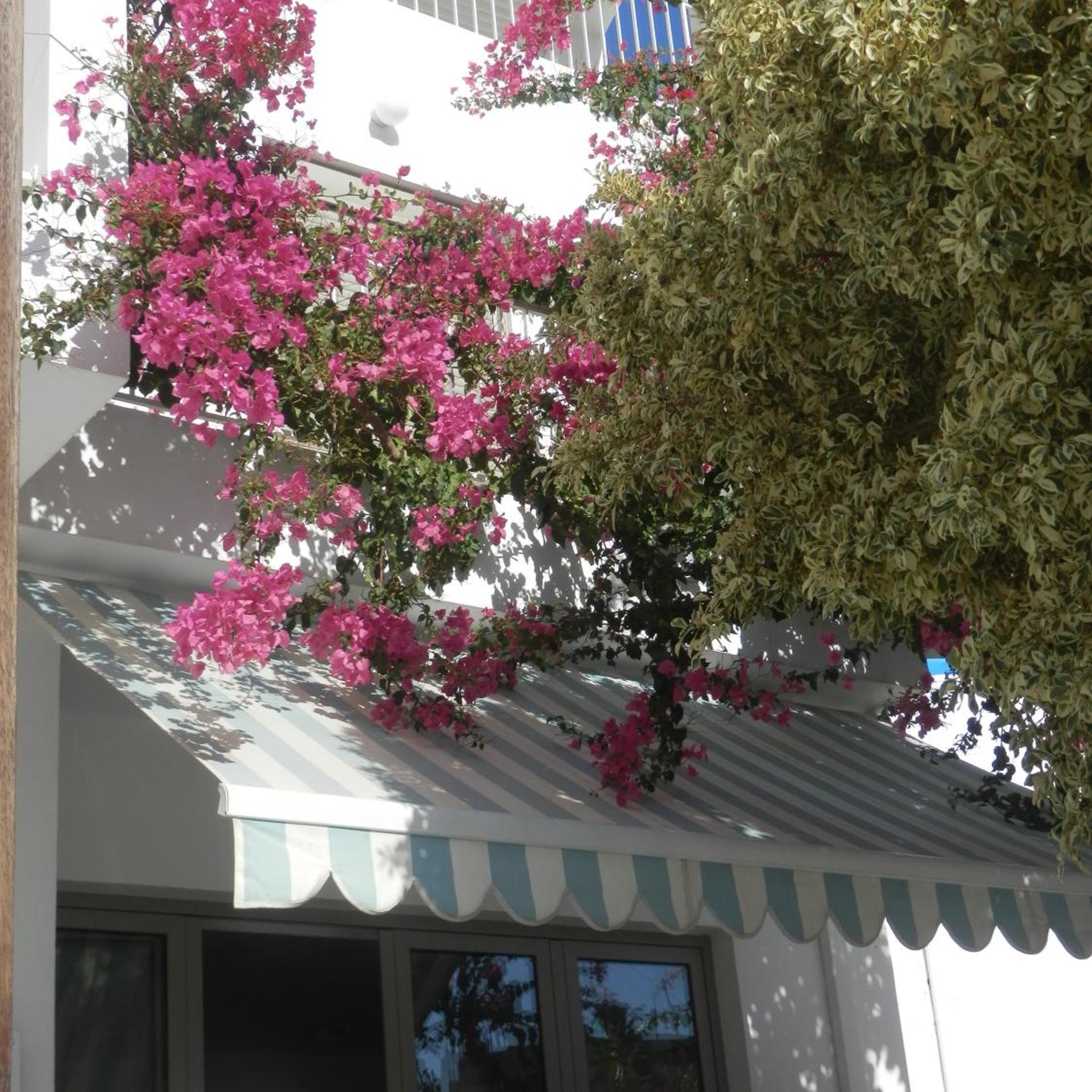 Glaros Hotel 7/63