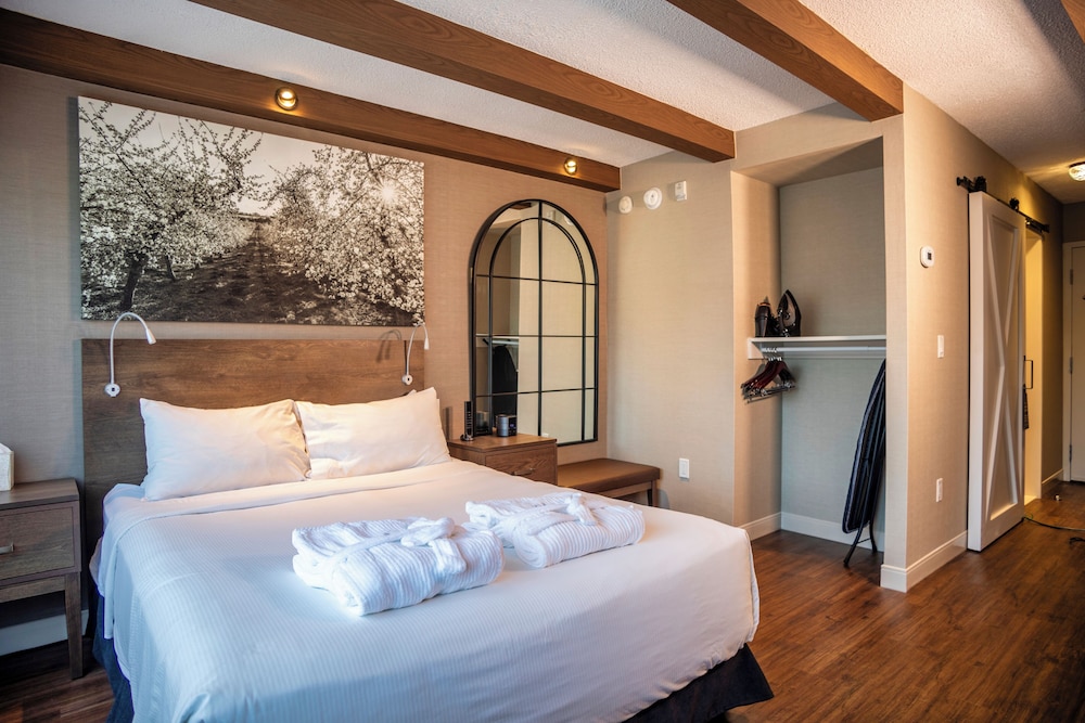 Old Orchard Inn & Spa 11/50
