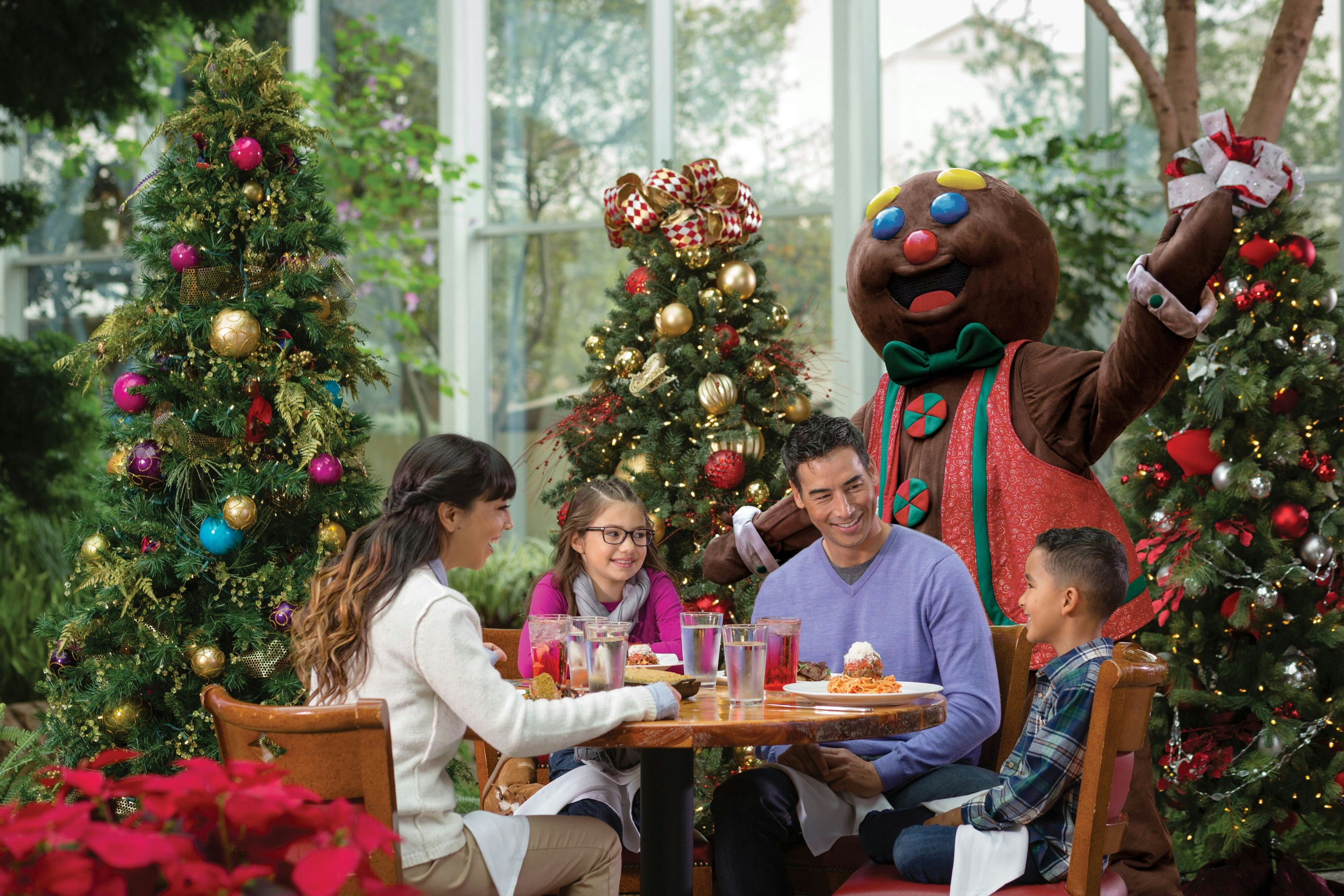 Gaylord Opryland Resort & Convention Center 30/45