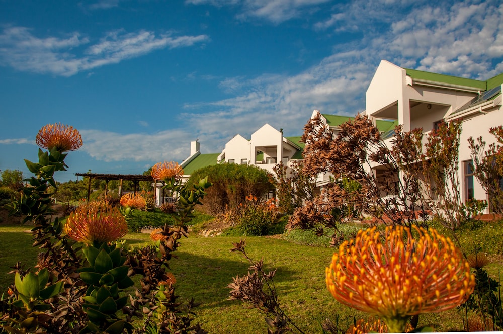 Wind-Rose Guest House 56/70