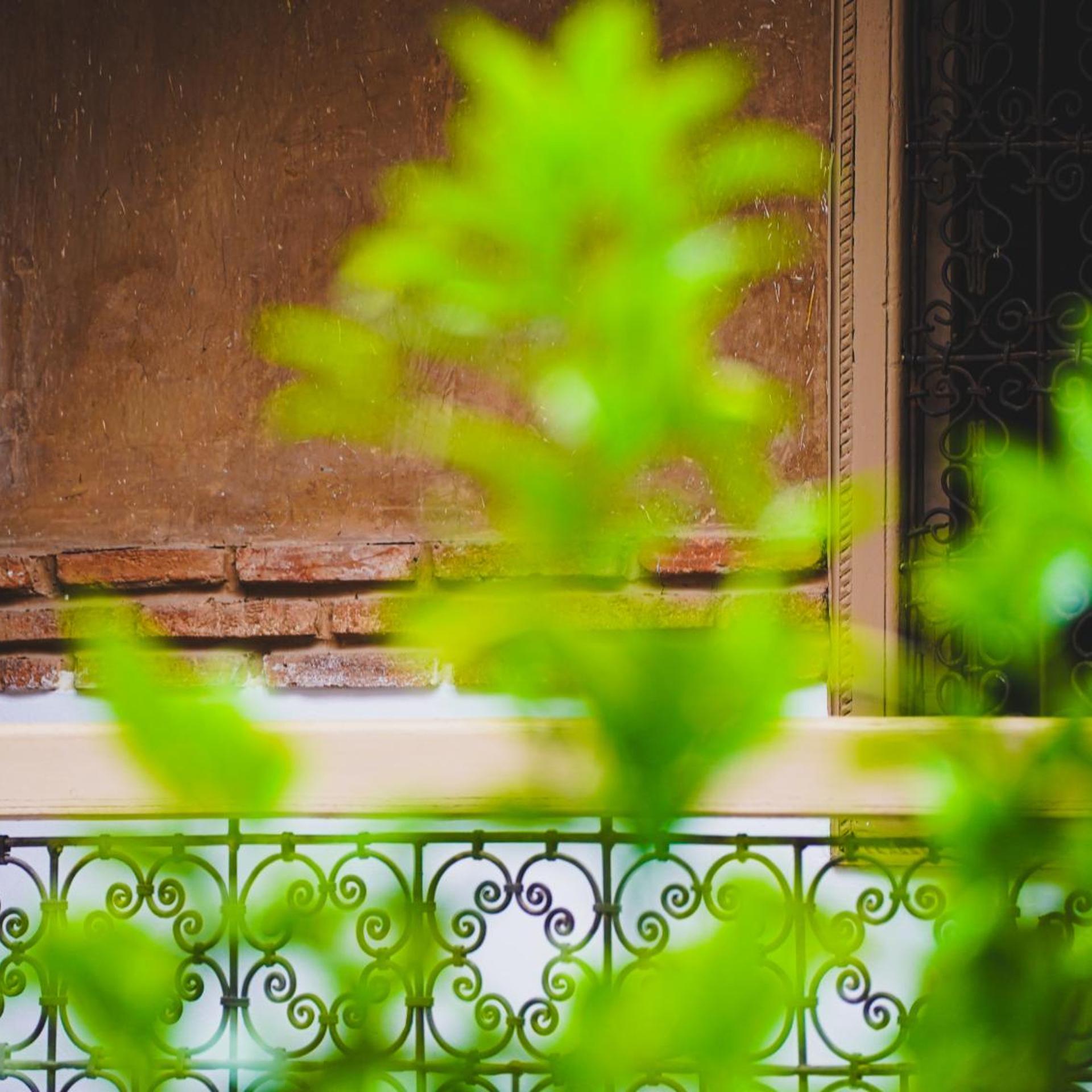 Riad Palmier 48/57
