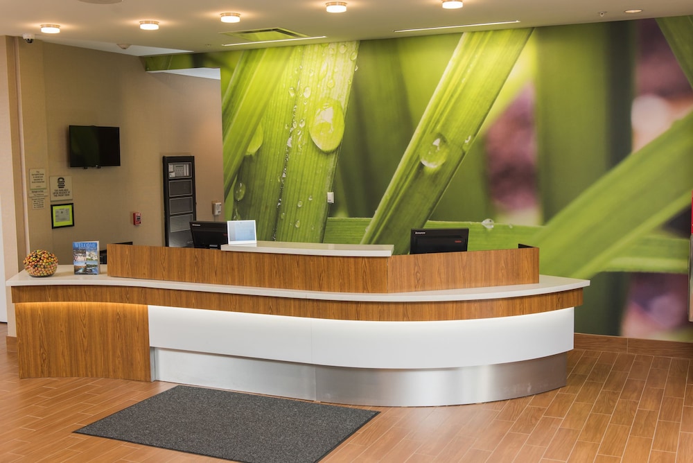 Springhill Suites Buffalo Airport 5/59