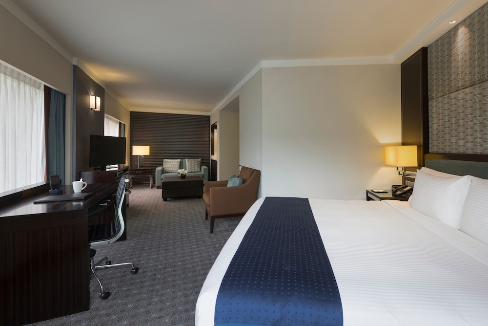 Holiday Inn Singapore Orchard City Centre 17/73