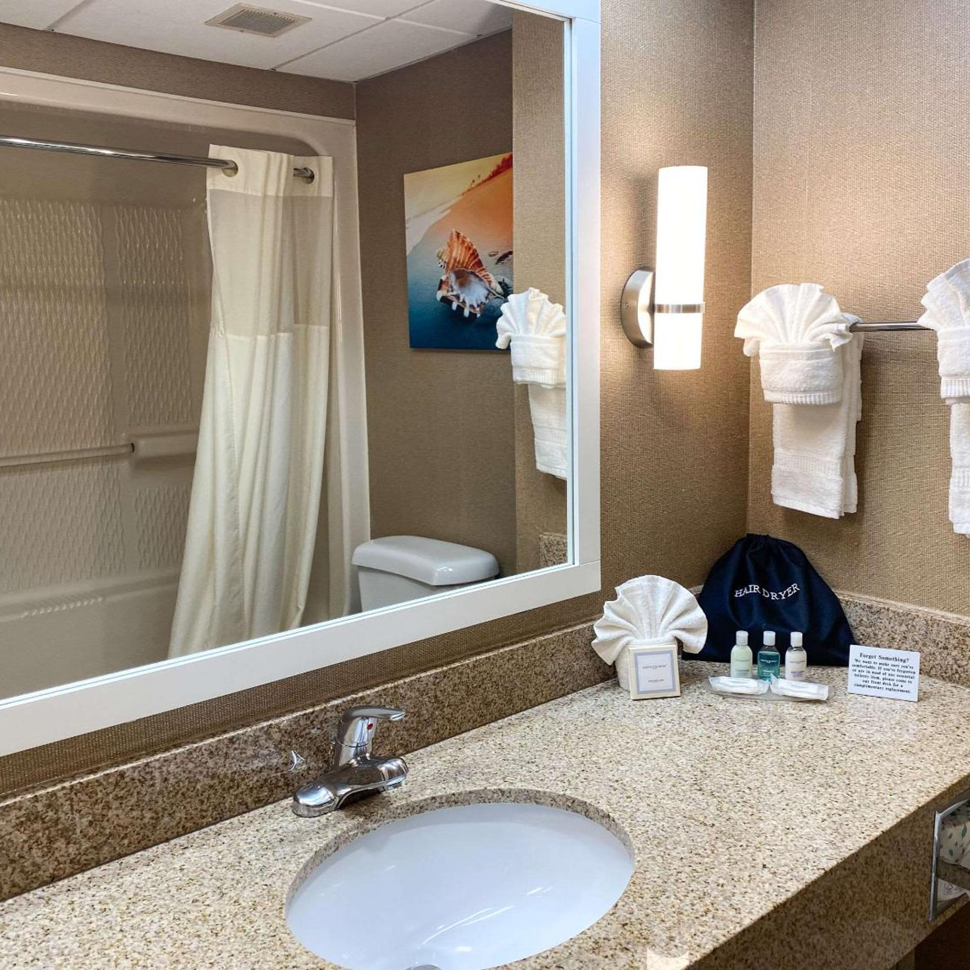 Executive, King Bed, Pool View, Clarion Hotel & Conference Center Toms River 4/6