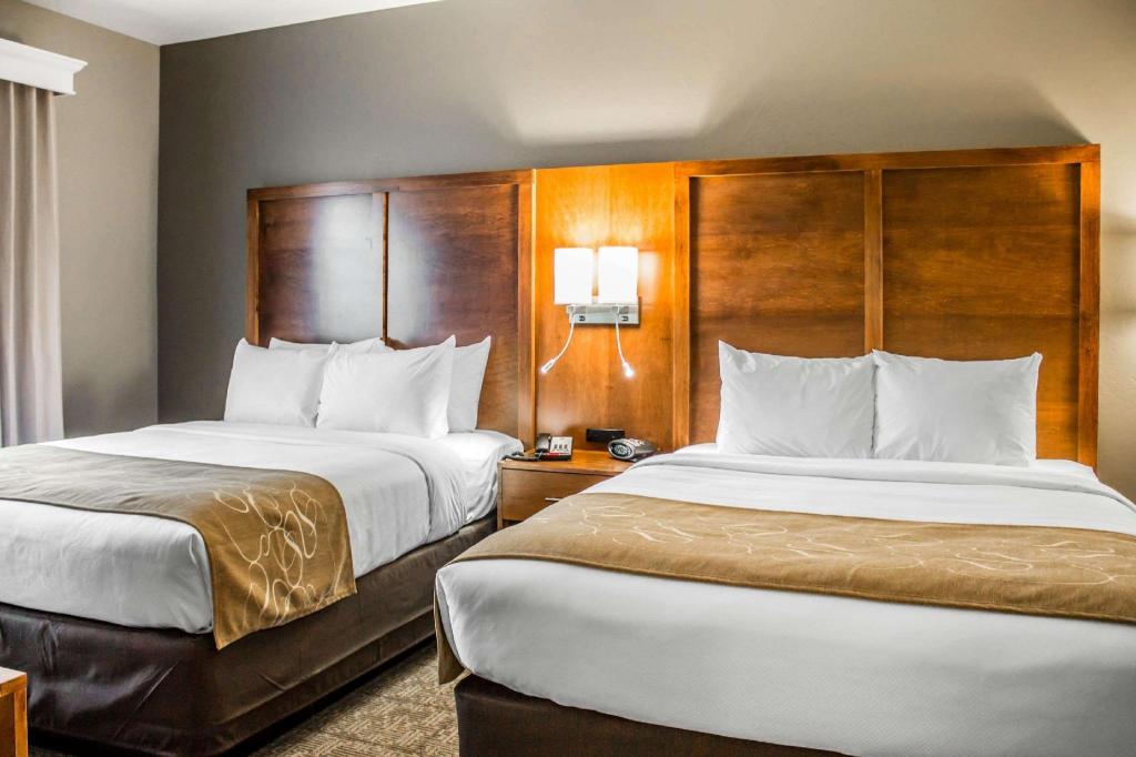 Upgrade, Suite, 2 King Beds