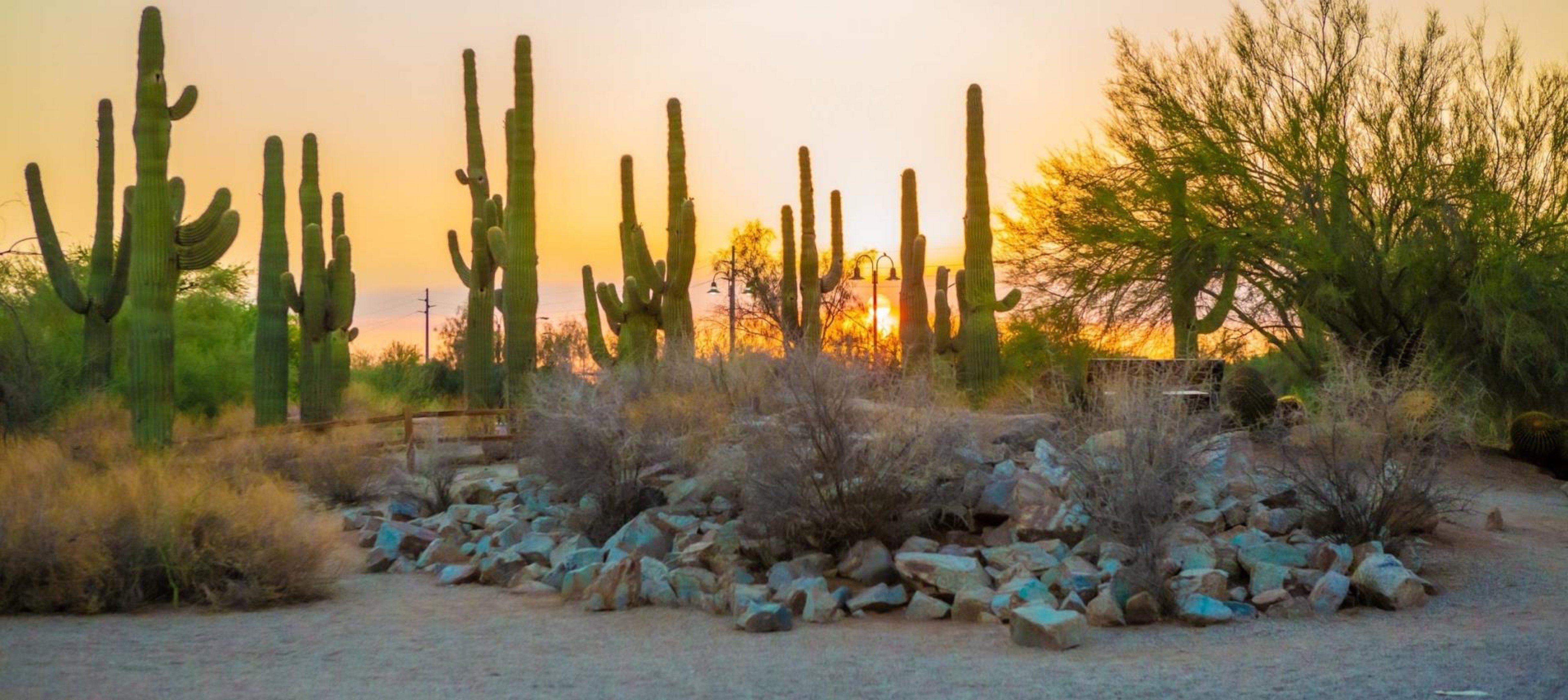 Staybridge Suites Phoenix East Gilbert 65/67