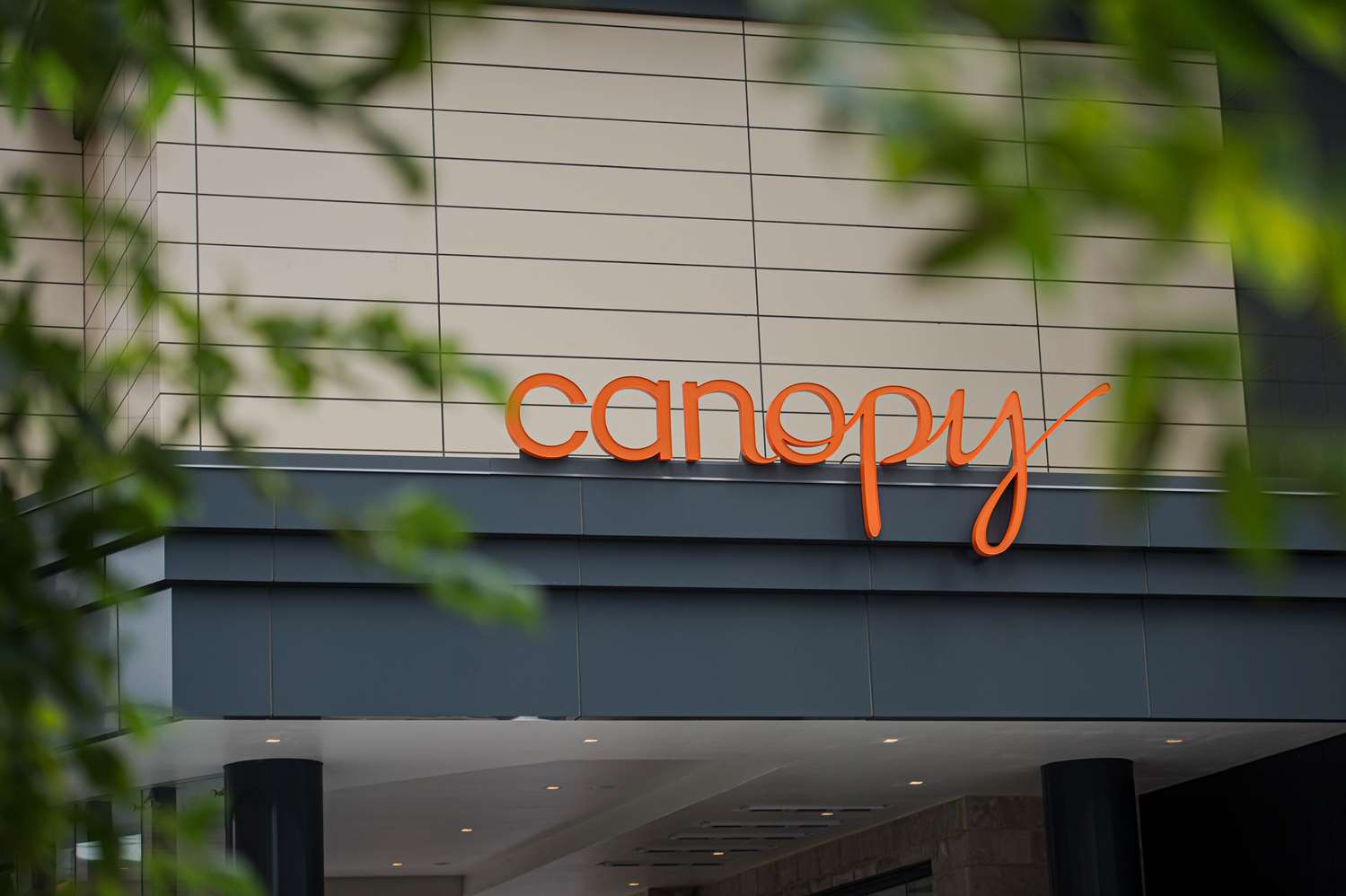 Canopy by Hilton Jersey City Arts District in NEW YORK - NY