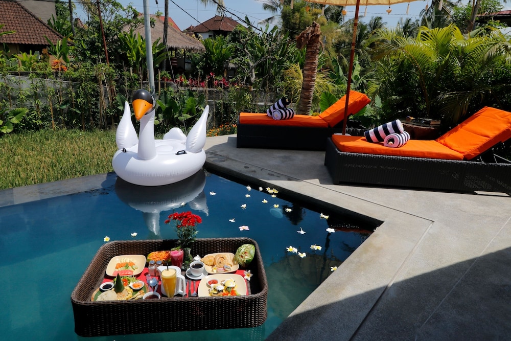 The Sender Pool Suite 32/50