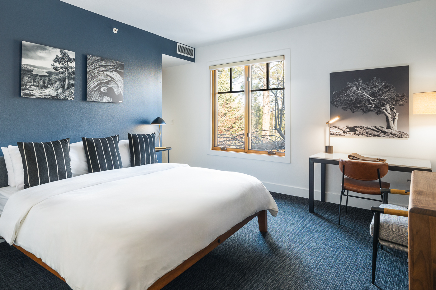 Rambler, Deluxe, King Bed