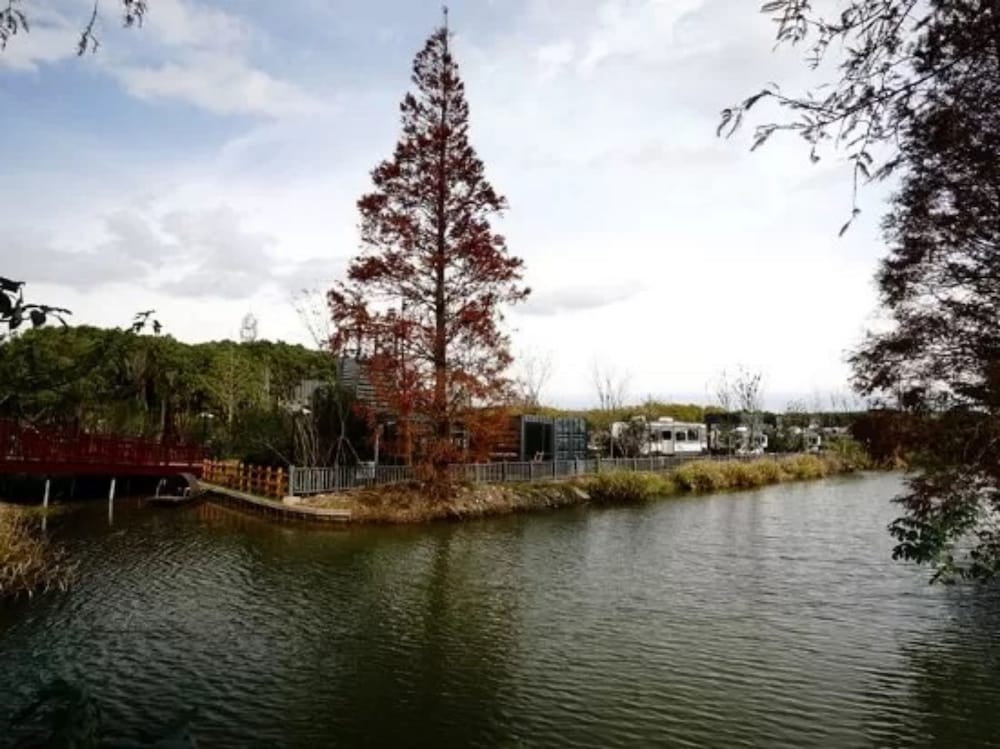 Lin Jia Camping Site Shanghai 35/50
