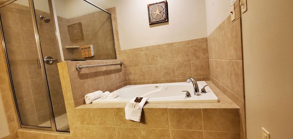 Best Western Plus Emory At Lake Fork Inn And Suites 16/42
