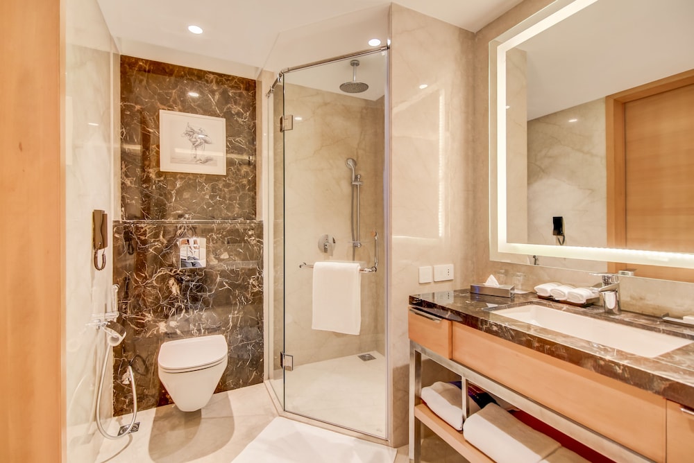 Radisson Blu Gorakhpur 49/50