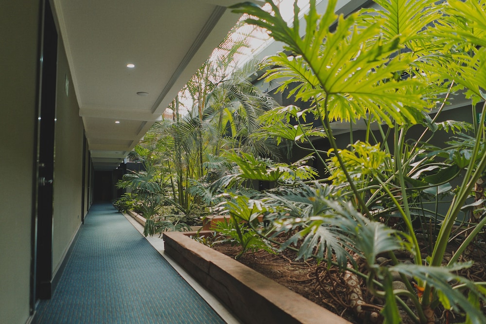 Kc Hotel San Jose 78/84