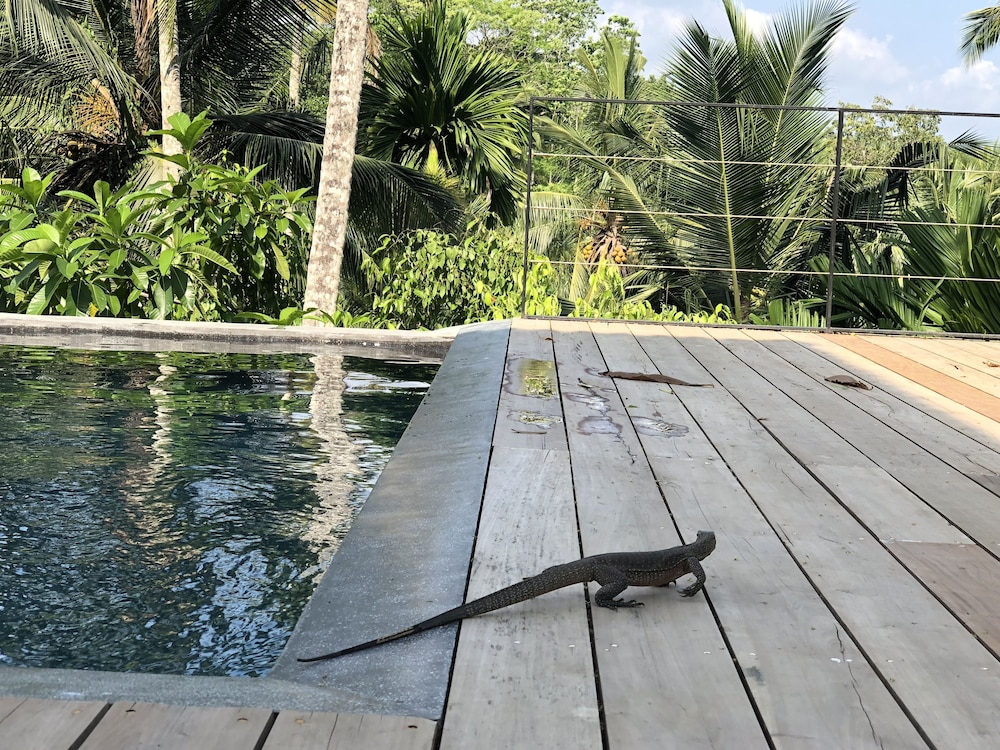Good Vibes Villas Retreat And Restaurant 14/44