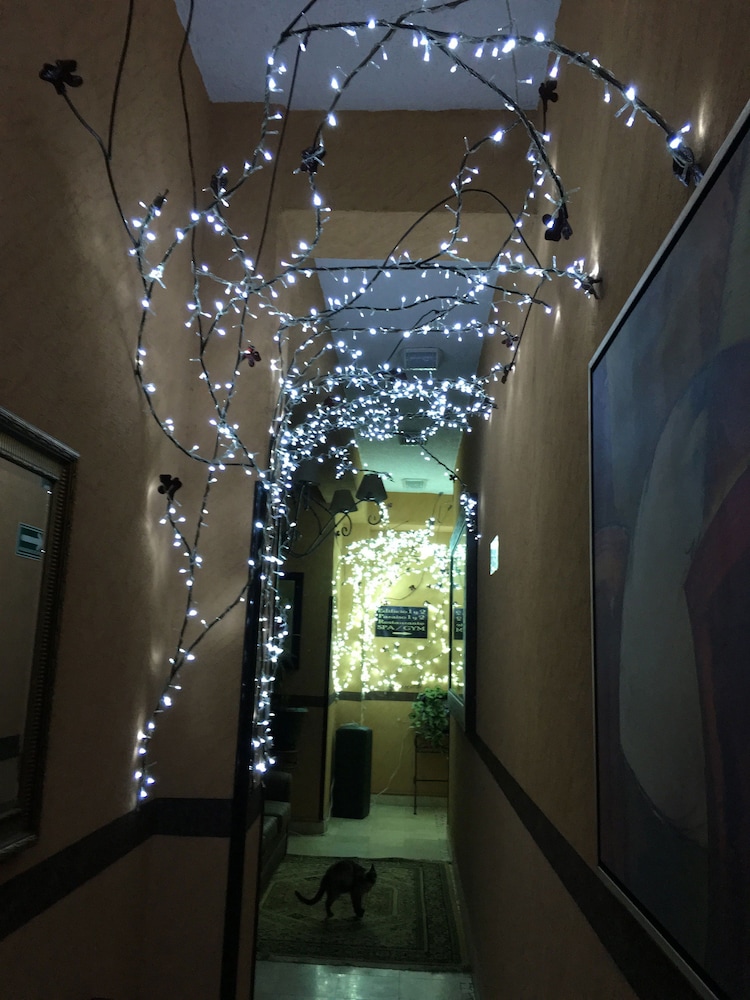 Villas and Suites Paraiso del Sur 12/68