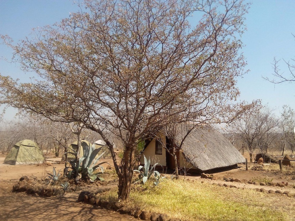Liya Lodge and Campsite 10/19