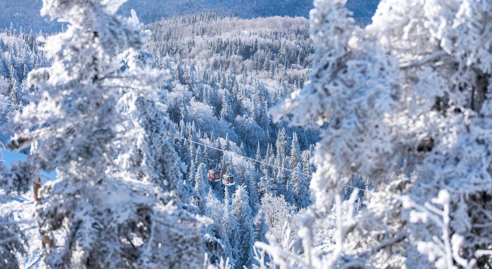 Microtel Inn & Suites by Wyndham Mont Tremblant 45/50