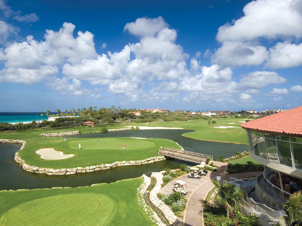 Tamarijn Aruba All Inclusive Resort 36/68