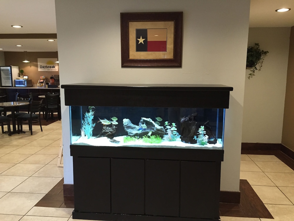 Days Inn by Wyndham New Braunfels 27/33
