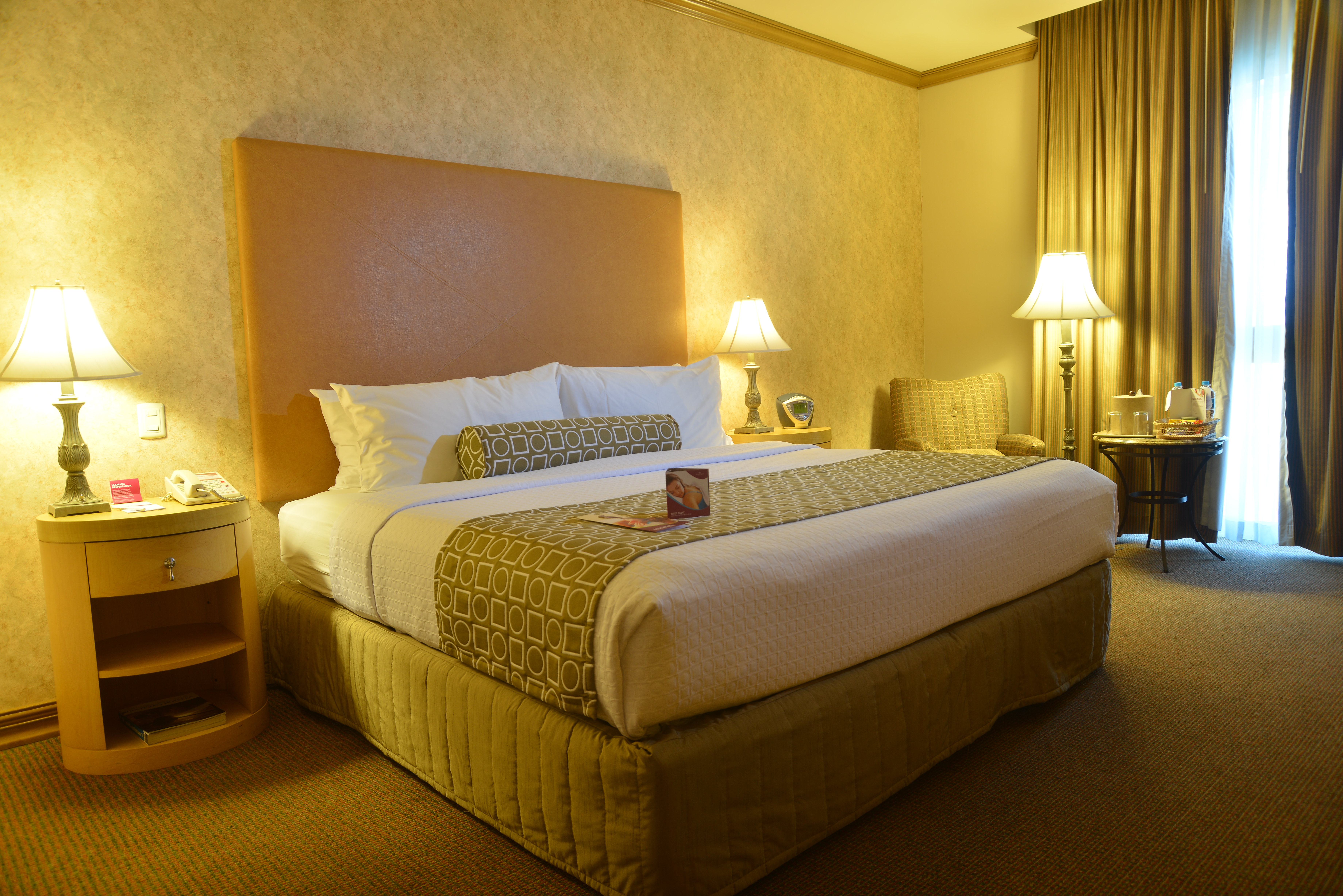 Crowne Plaza Torreon 20/76