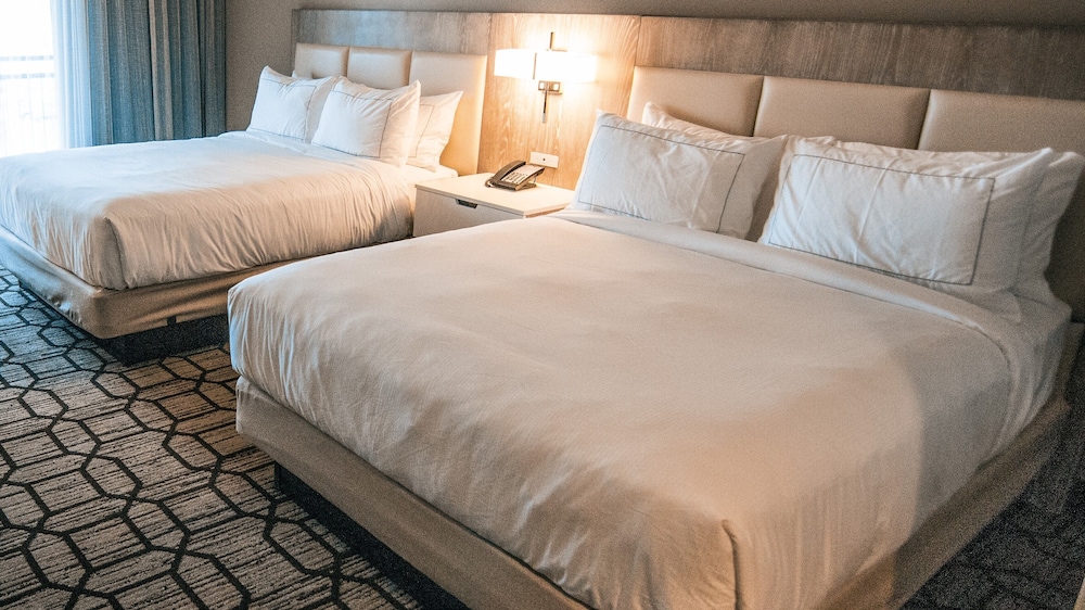 Doubletree By Hilton Lubbock - University Area 18/77
