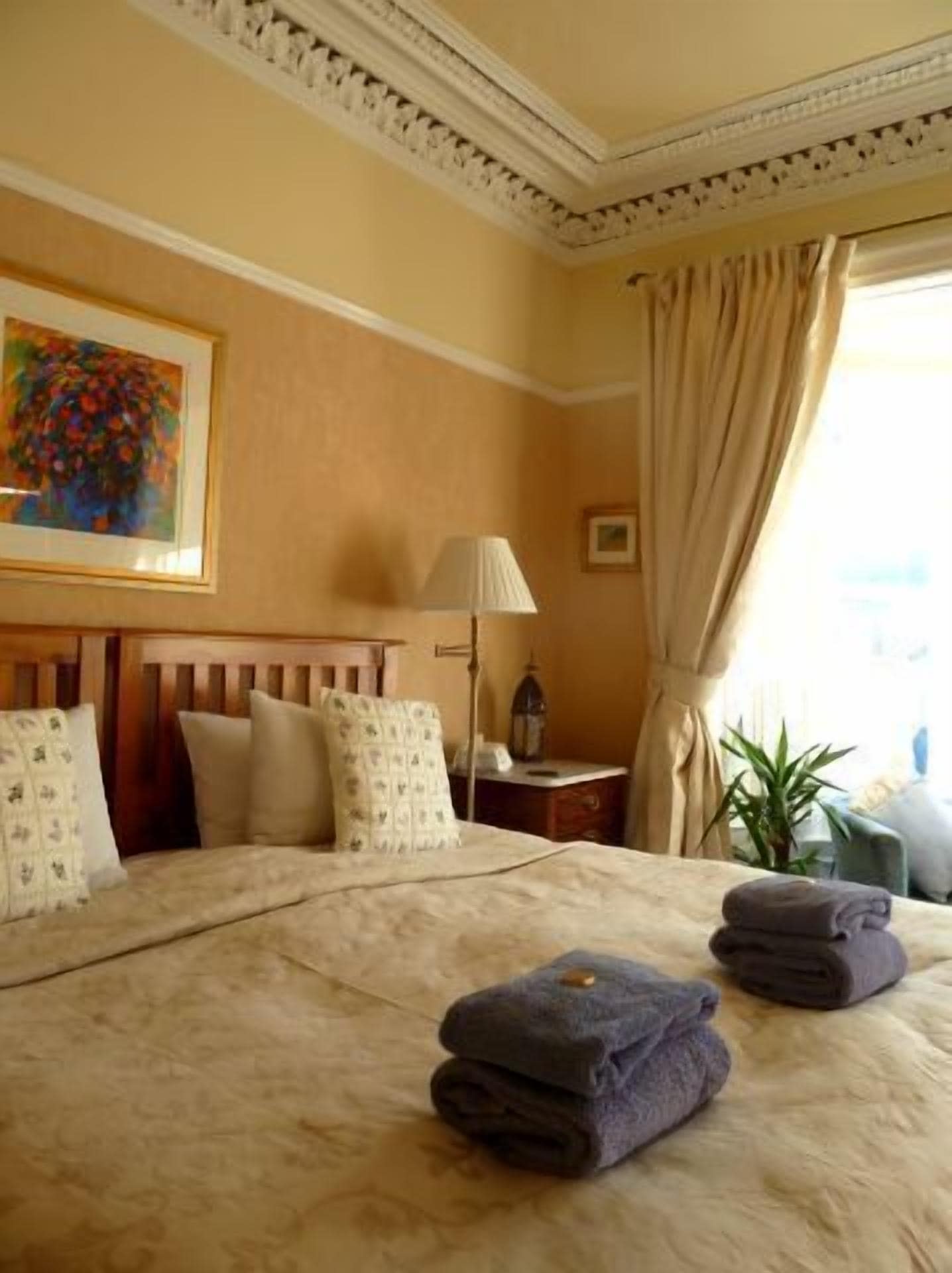 Family, 1 King and 1 Single Beds