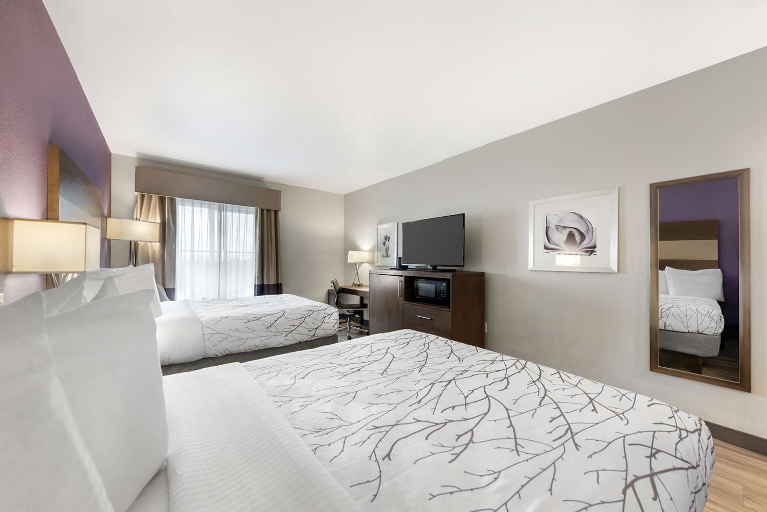 Best Western Plus Buda Austin Inn and Suites 9/35