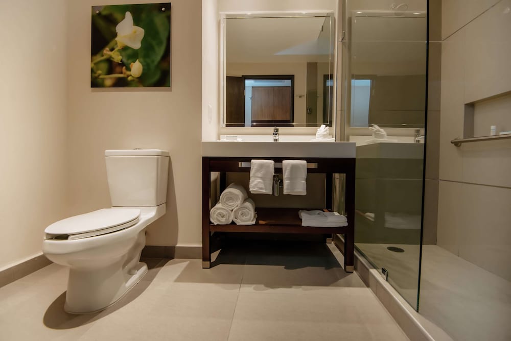 Hilton Garden Inn Puebla Angelopolis 15/50