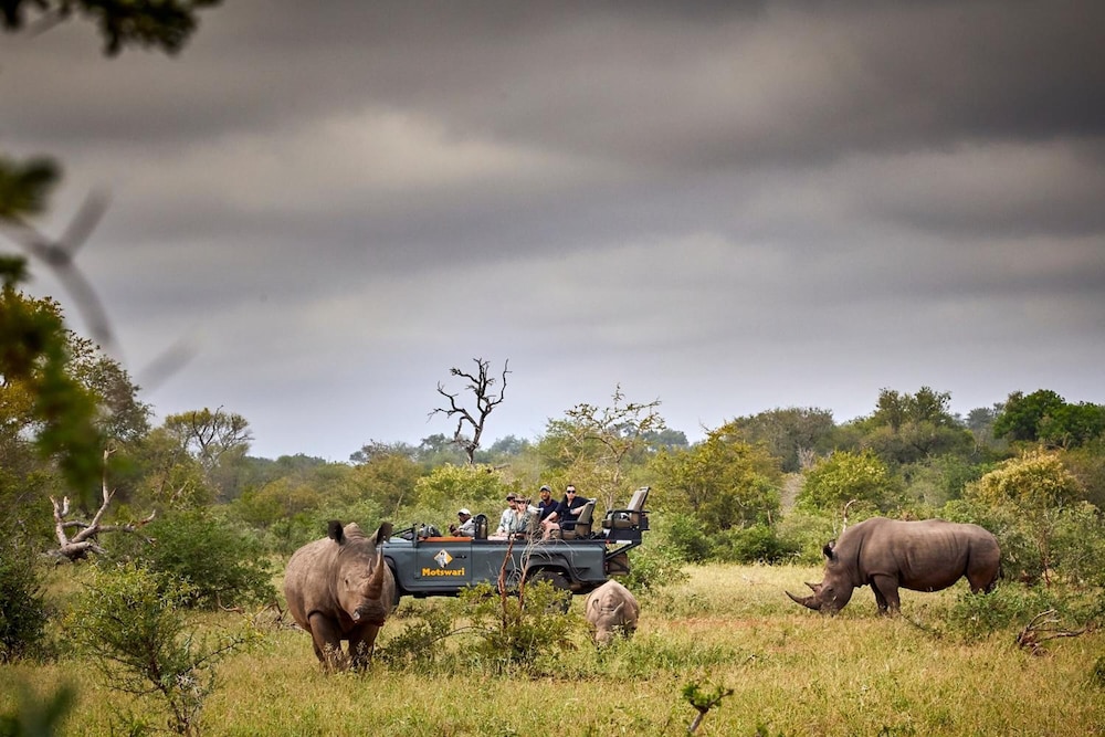 Motswari Private Game Reserve Timbavati 47/50
