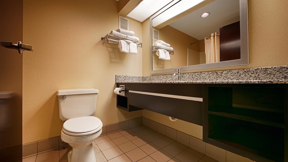 Best Western Knoxville Suites - Downtown 14/39